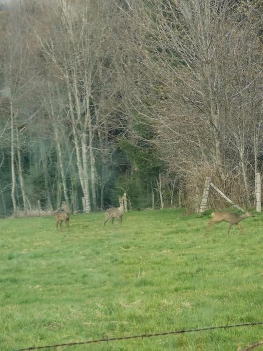 La Magie Entre Deux Lacs Gérardmer Zewnętrze zdjęcie