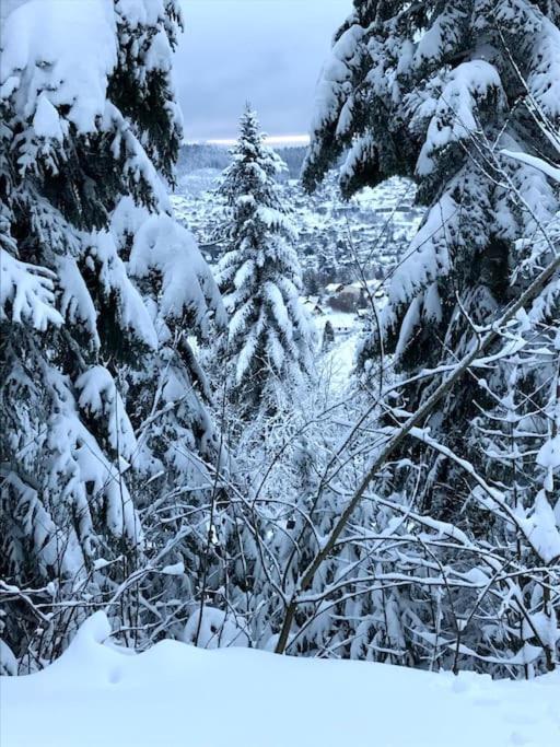 La Magie Entre Deux Lacs Gérardmer Zewnętrze zdjęcie