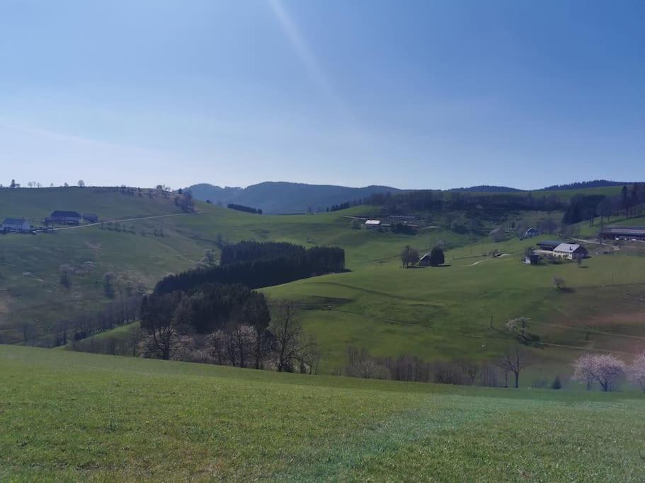 La Magie Entre Deux Lacs Gérardmer Zewnętrze zdjęcie